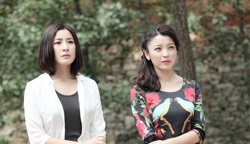    马向阳下乡记剧情介绍