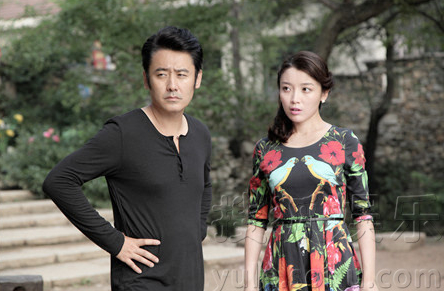 马向阳下乡记剧情介绍