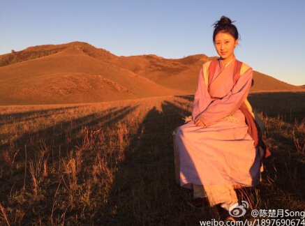 芈月传演员表 芈月传详细角色揭秘