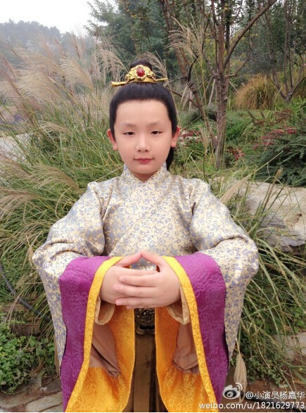 芈月传演员表 芈月传详细角色揭秘