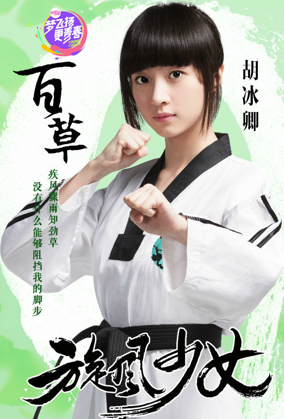 旋风少女分集剧情介绍