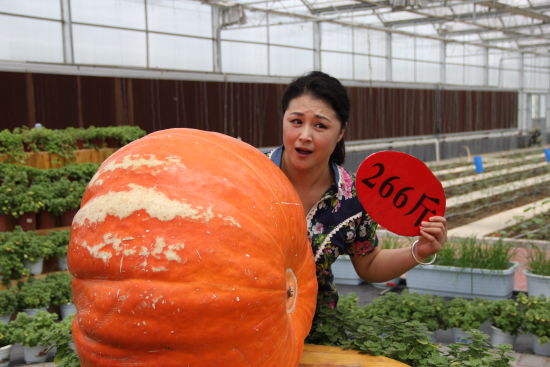 乡村爱情八剧情介绍