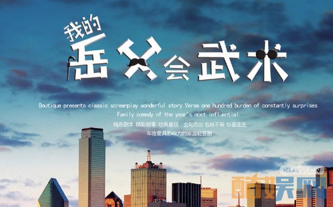 我的岳父会武术海报