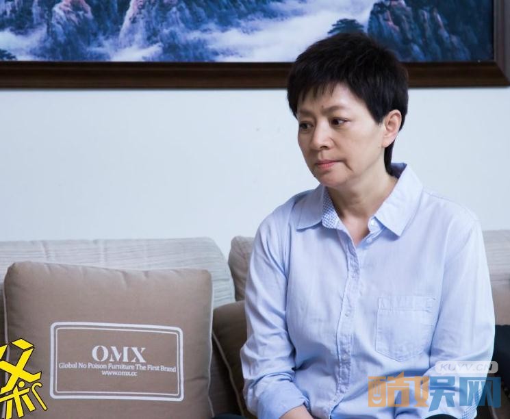 电视剧我的岳父会武术剧情分集介绍第11集