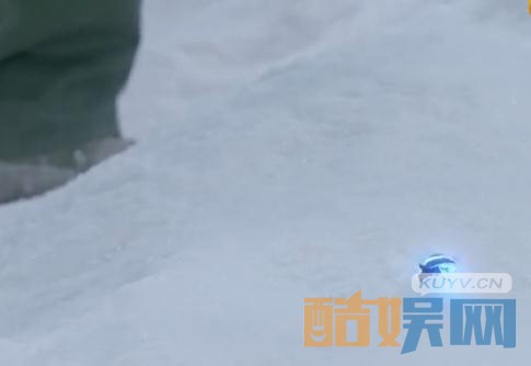 鬼吹灯之精绝古城火瓢虫是什么？火瓢虫真实存在吗？