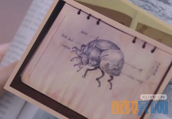 鬼吹灯之精绝古城火瓢虫是什么？火瓢虫真实存在吗？