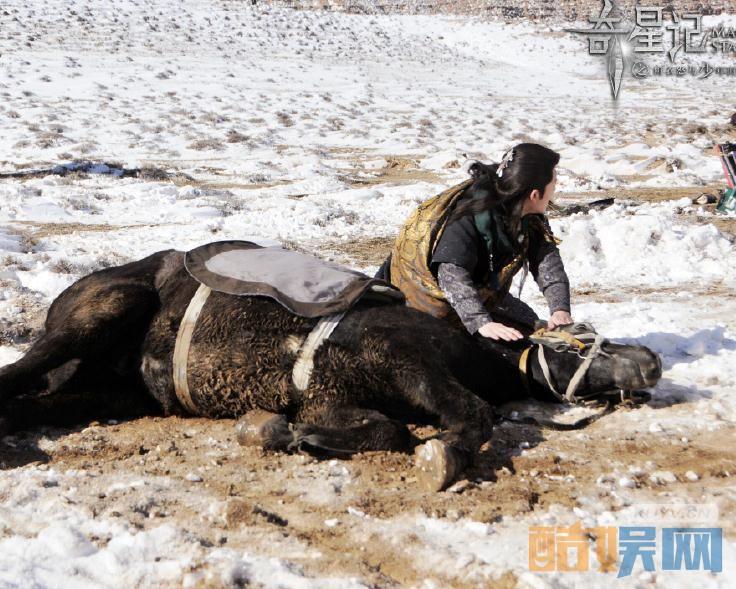 电视剧奇星记之鲜衣怒马少年时剧情分集介绍第15集