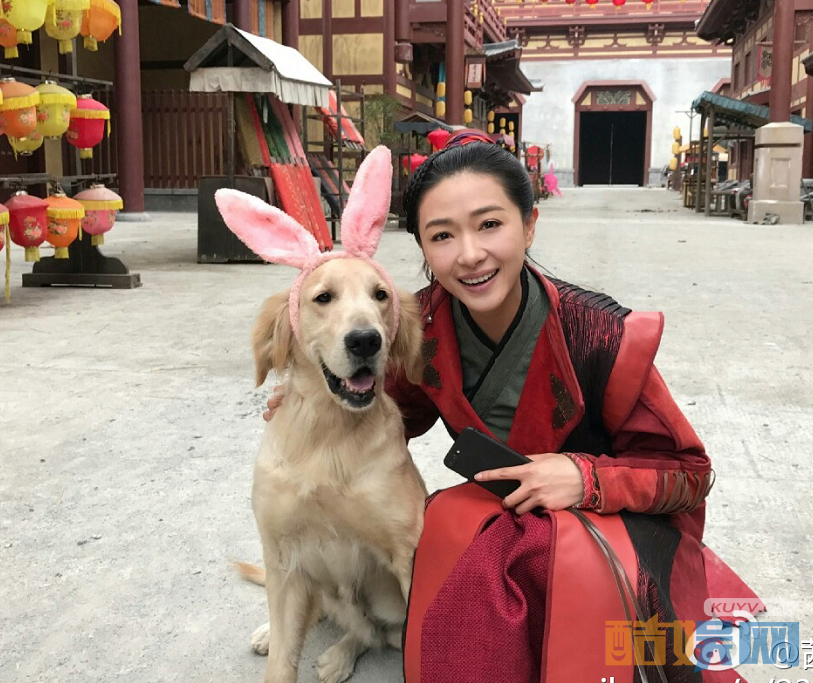 电视剧大唐荣耀剧情分集介绍第28集