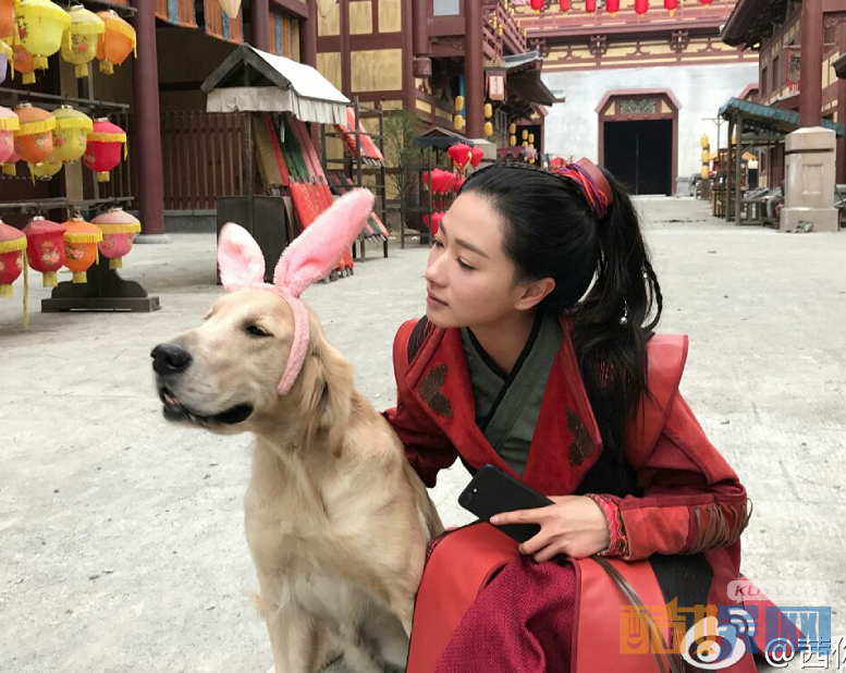 电视剧大唐荣耀剧情分集介绍第29集
