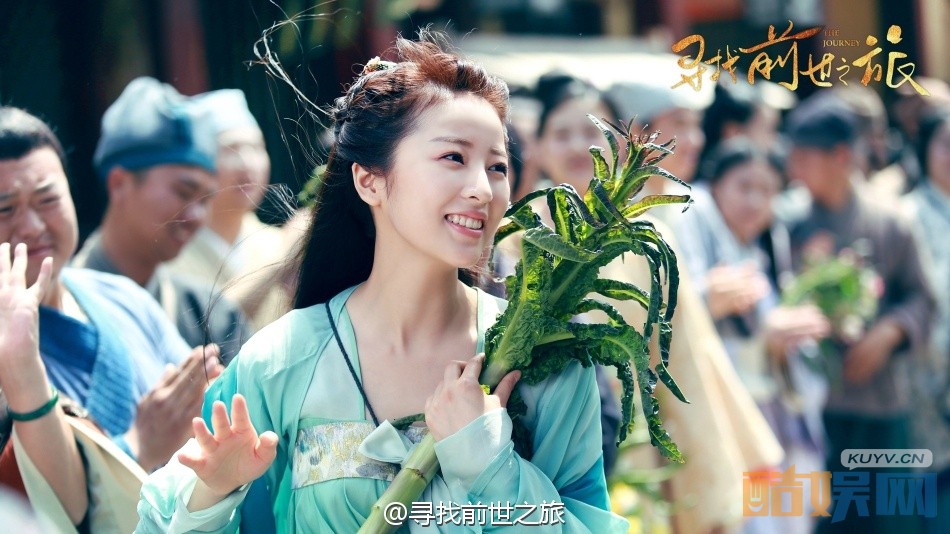 电视剧寻找前世之旅剧情分集介绍第6集