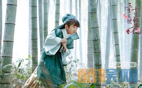 电视剧三生三世十里桃花剧情分集介绍第12集