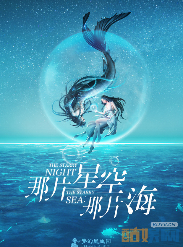 那片星空那片海海报