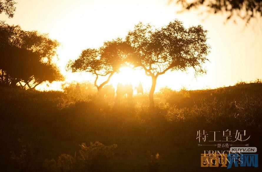 特工皇妃楚乔传片场照