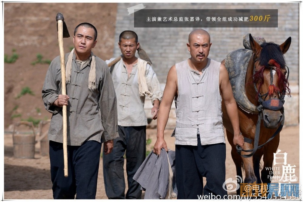 电视剧白鹿原剧情分集介绍第20集
