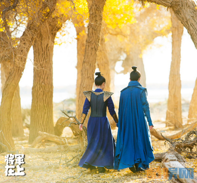 电视剧将军在上剧情分集介绍第34集