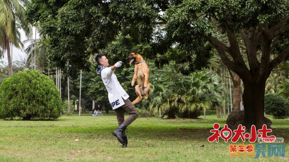 电视剧神犬小七第三季剧情分集介绍第4集