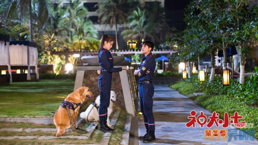 电视剧神犬小七第三季剧情分集介绍第22集