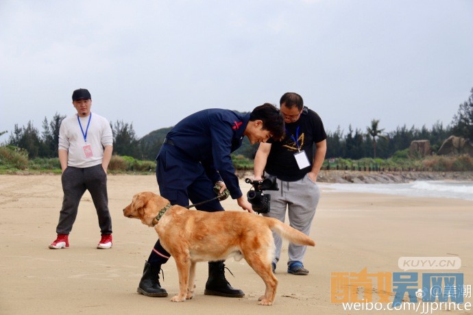 神犬小七第三季片场照