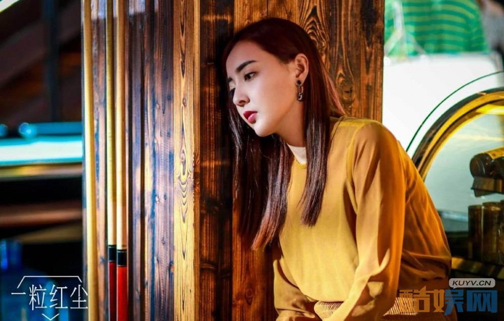 电视剧一粒红尘剧情分集介绍第32集