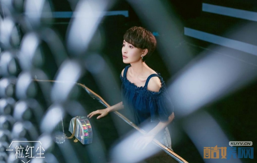 电视剧一粒红尘剧情分集介绍第33集