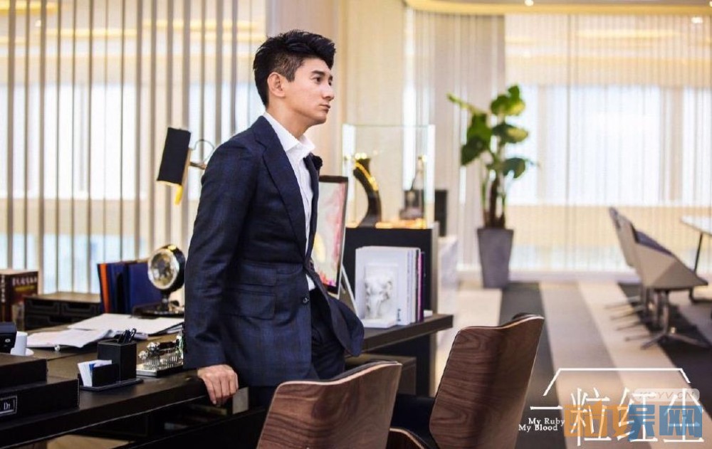 电视剧一粒红尘剧情分集介绍第35集