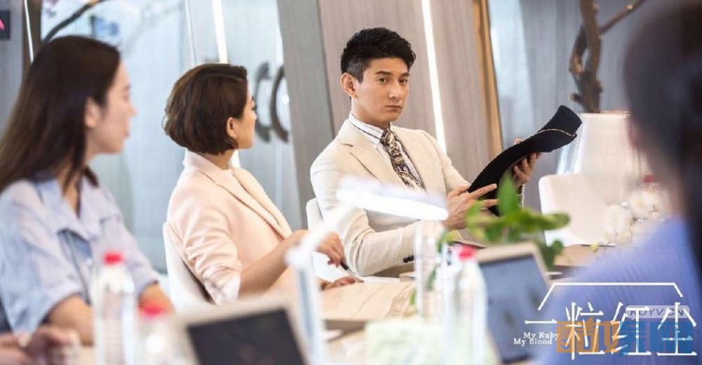 电视剧一粒红尘剧情分集介绍第37集