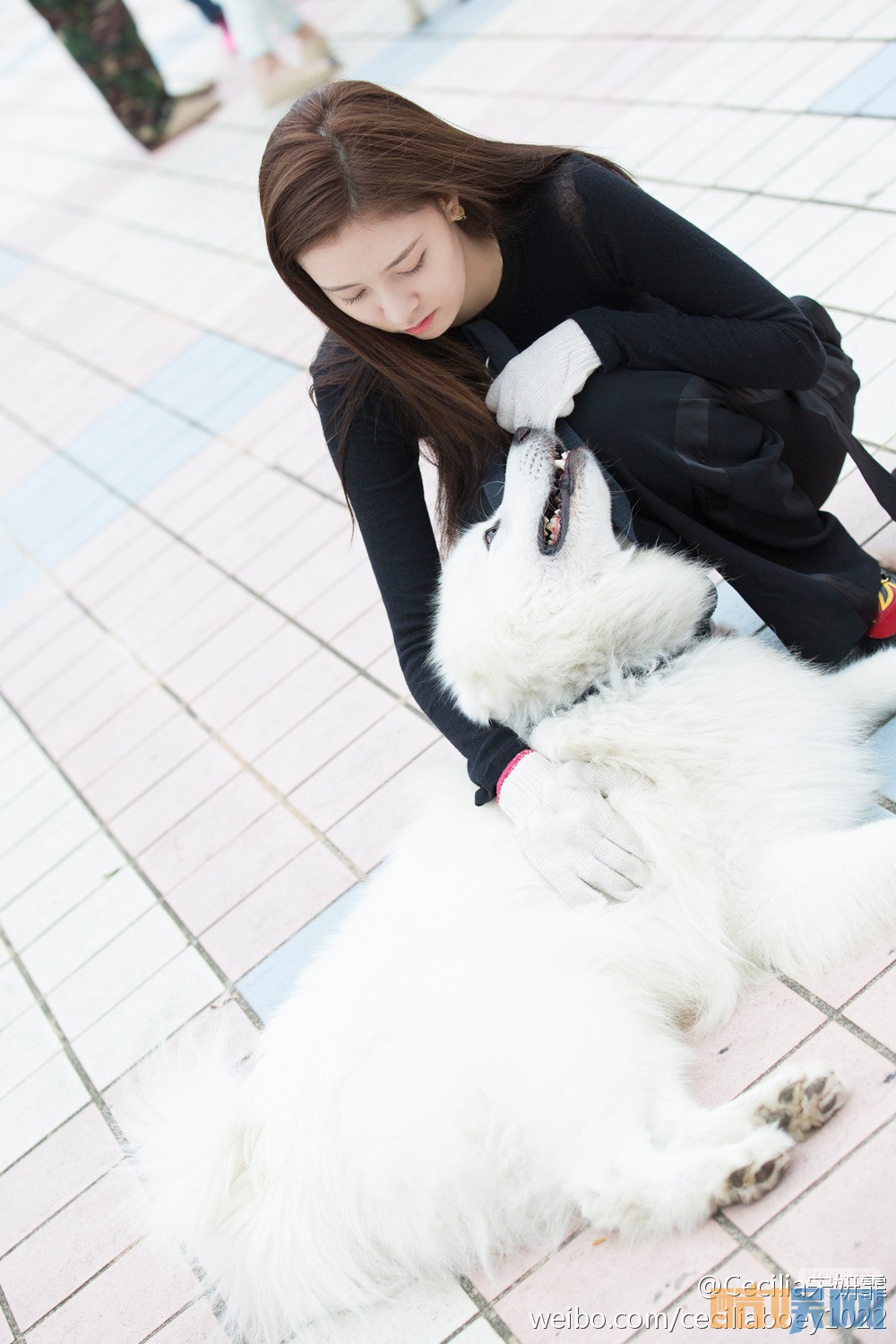 神犬小七第三季女主安心是谁扮演的   神犬小七第三季安心扮演者宋妍霏君个人资料、写真、生活照欣赏