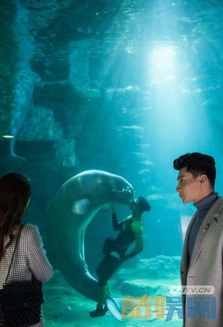 电视剧如若巴黎不快乐剧情分集介绍第1集