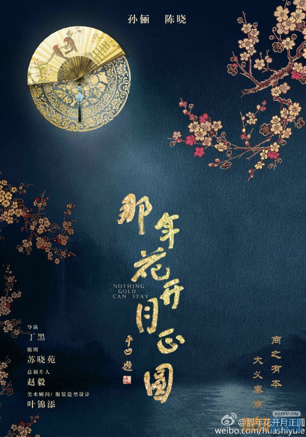 那年花开月正圆海报