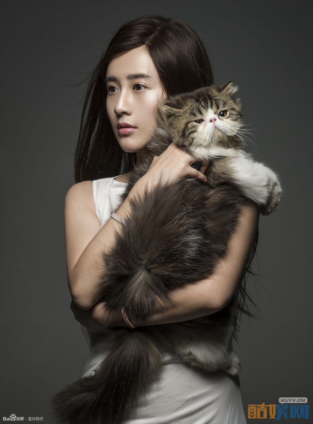 夏梓桐和猫咪一起写真