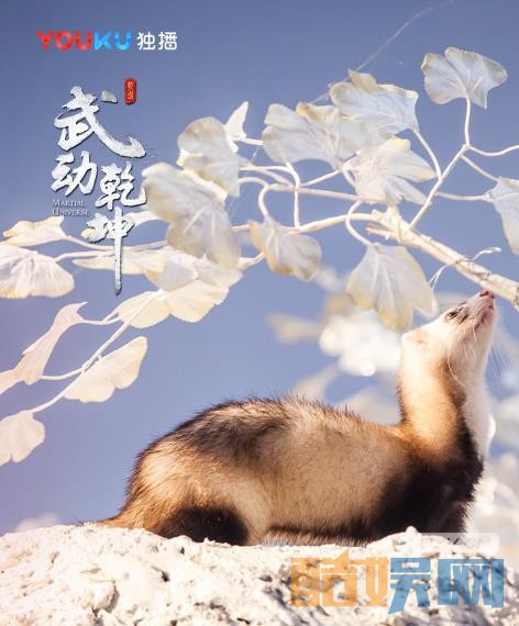 武动乾坤什么时候播 武动乾坤播出时间