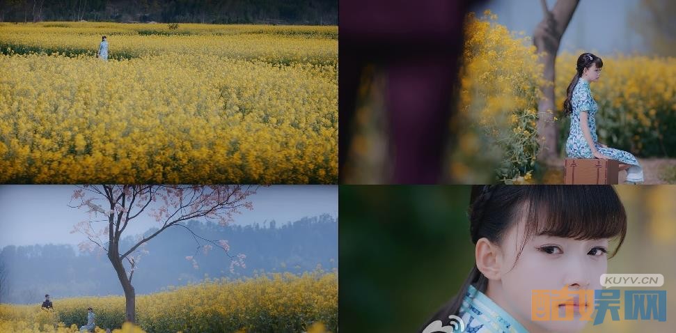 电视剧人生若如初相见剧情分集介绍第34集