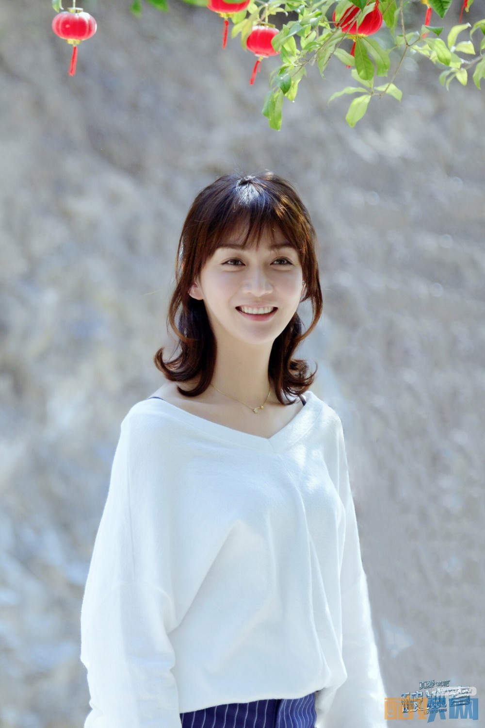 电视剧真爱的谎言之破冰者剧情分集介绍第26集