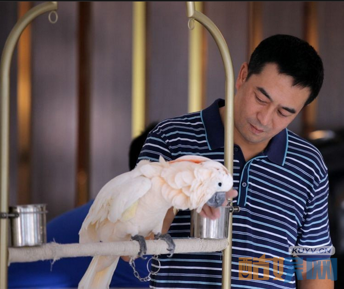 张嘉译个人经历   张嘉译个人资料简介 张嘉译写真、杂志、生活照欣赏  