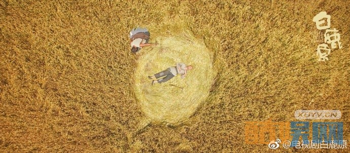 电视剧白鹿原发布&ldquo;原&rdquo;上海报 原上如此美丽震撼