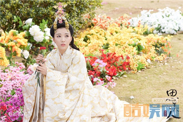 电视剧思美人剧情分集介绍第48集