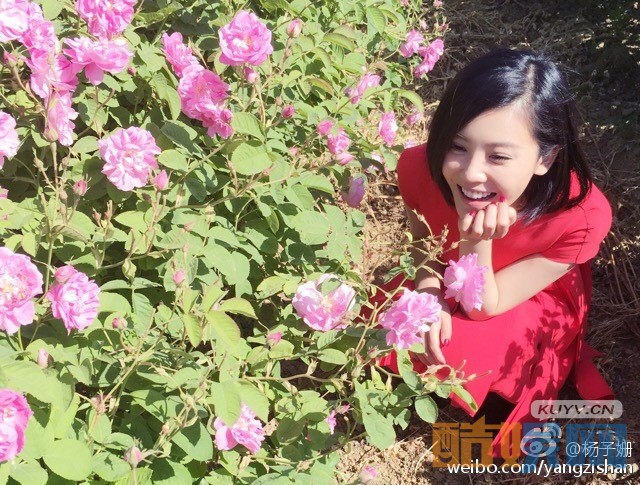 好久不见花朵朵是谁演的 好久不见花朵朵演者杨子姗个人资料、写真、生活照欣赏