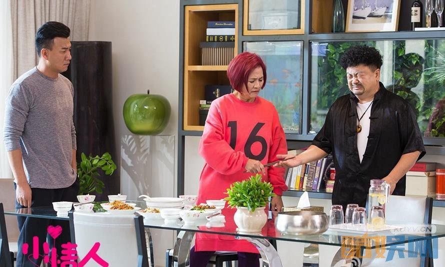 电视剧小情人剧情分集介绍第4集