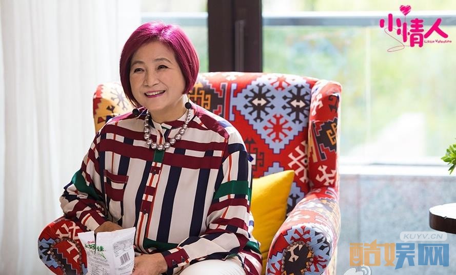 电视剧小情人剧情分集介绍第17集