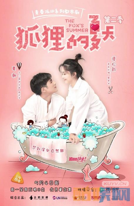 狐狸的夏天海报