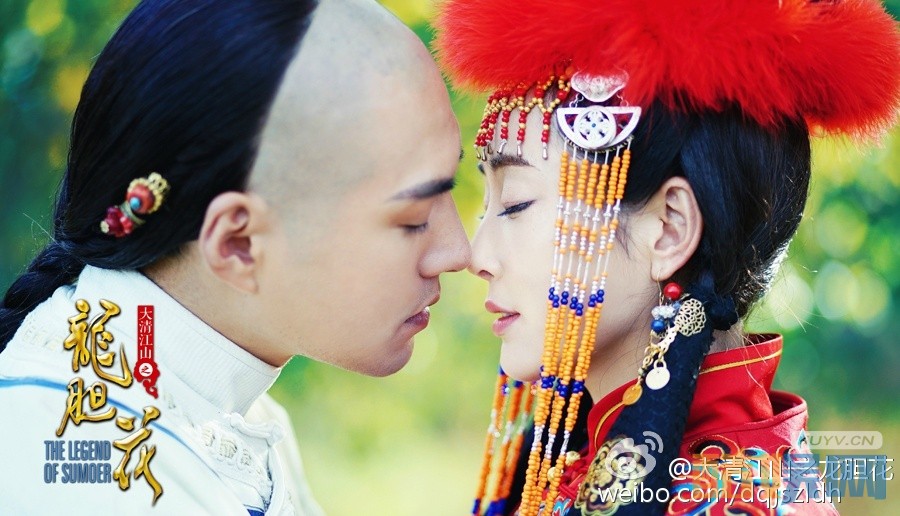 电视剧大清江山之龙胆花剧情分集介绍第19集