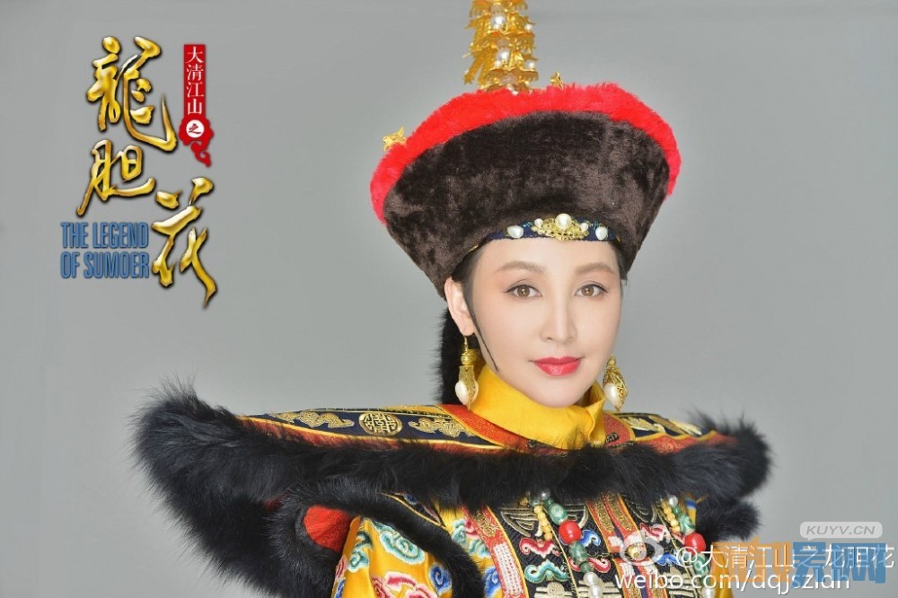 电视剧大清江山之龙胆花剧情分集介绍第25集
