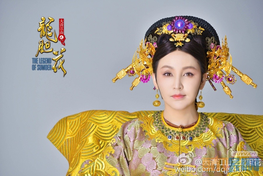 电视剧大清江山之龙胆花剧情分集介绍第27集