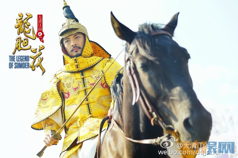 电视剧大清江山之龙胆花剧情分集介绍第31集