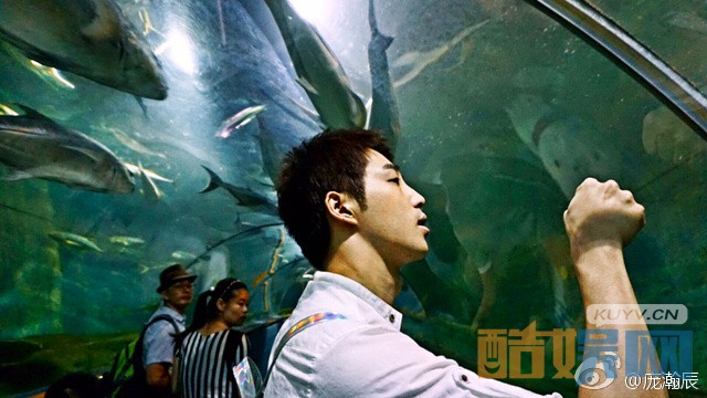 电视剧夏至未至段桥是谁演的 电视剧夏至未至段桥的扮演者庞瀚辰个人资料、写真、生活照欣赏