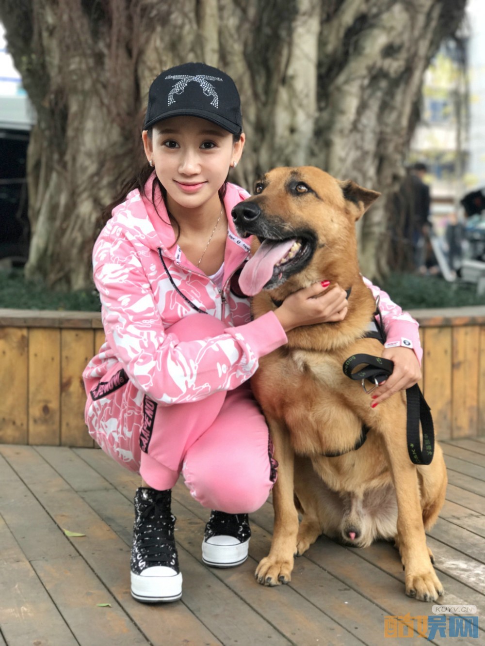 电视剧警犬来啦剧情分集介绍第15集