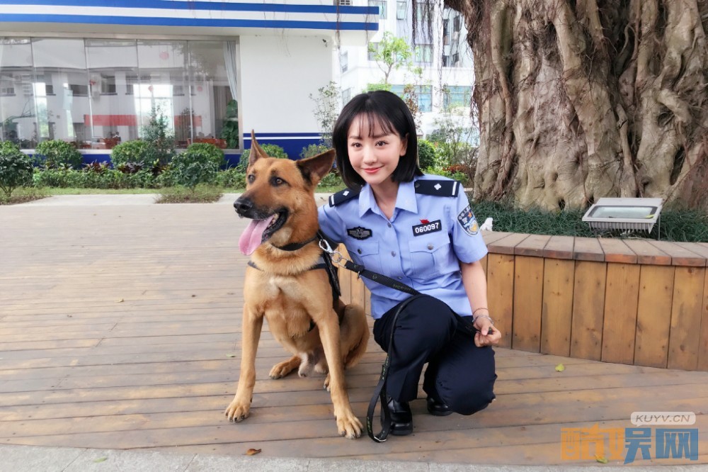 电视剧警犬来啦剧情分集介绍第1集