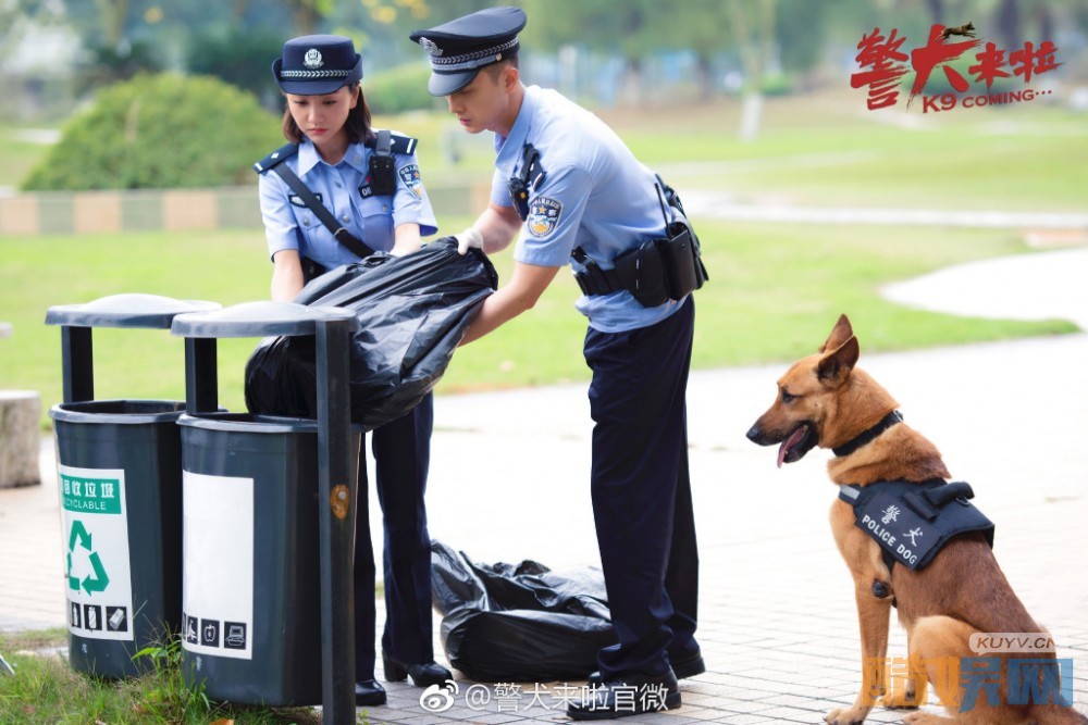 电视剧警犬来啦剧情分集介绍第14集