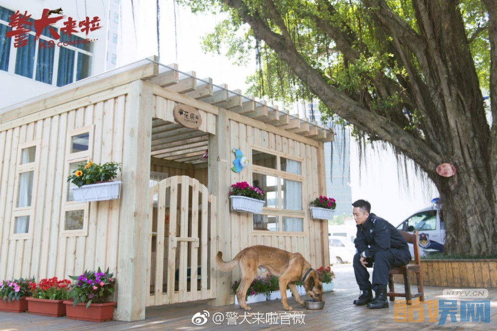 电视剧警犬来啦剧情分集介绍第40集