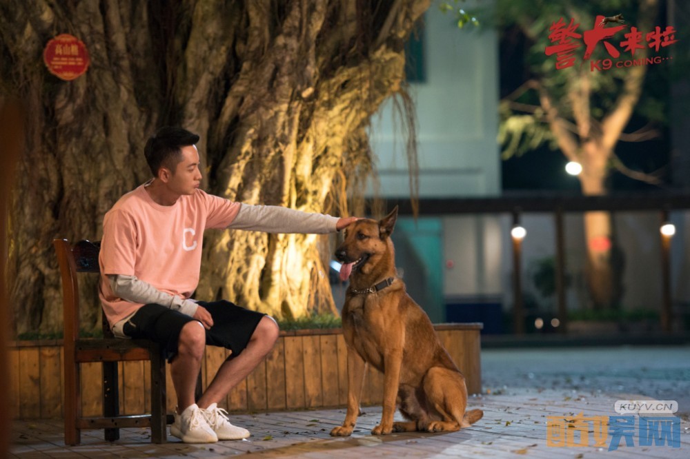电视剧警犬来啦剧情分集介绍第41集